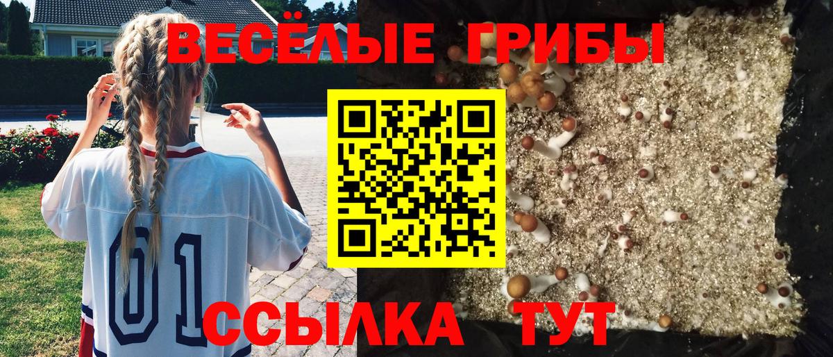 Галлюциногенные грибы Magic Shrooms Усть-Джегута