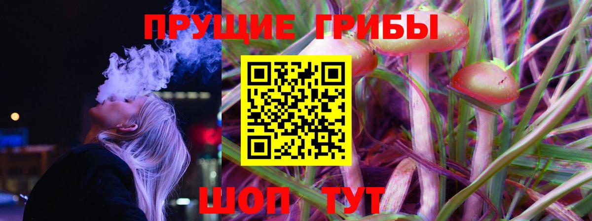 Галлюциногенные грибы Cubensis  Вход с VPN  Усть-Джегута 