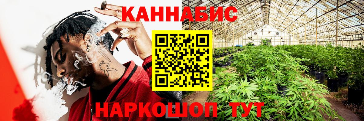 Бошки марихуана Amnesia  Канабис ГИДРОПОН  Усть-Джегута  Вход с VPN  Марихуана сатива 